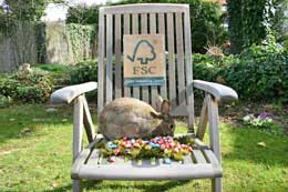 Artikel lesen Artikel lesen